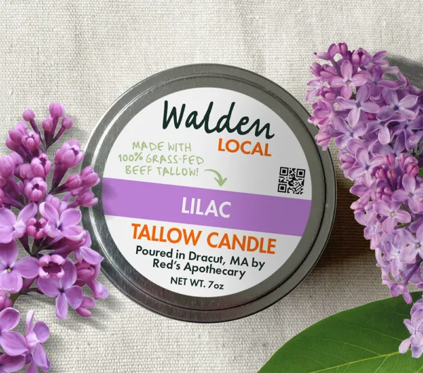 7766Lilac Candle