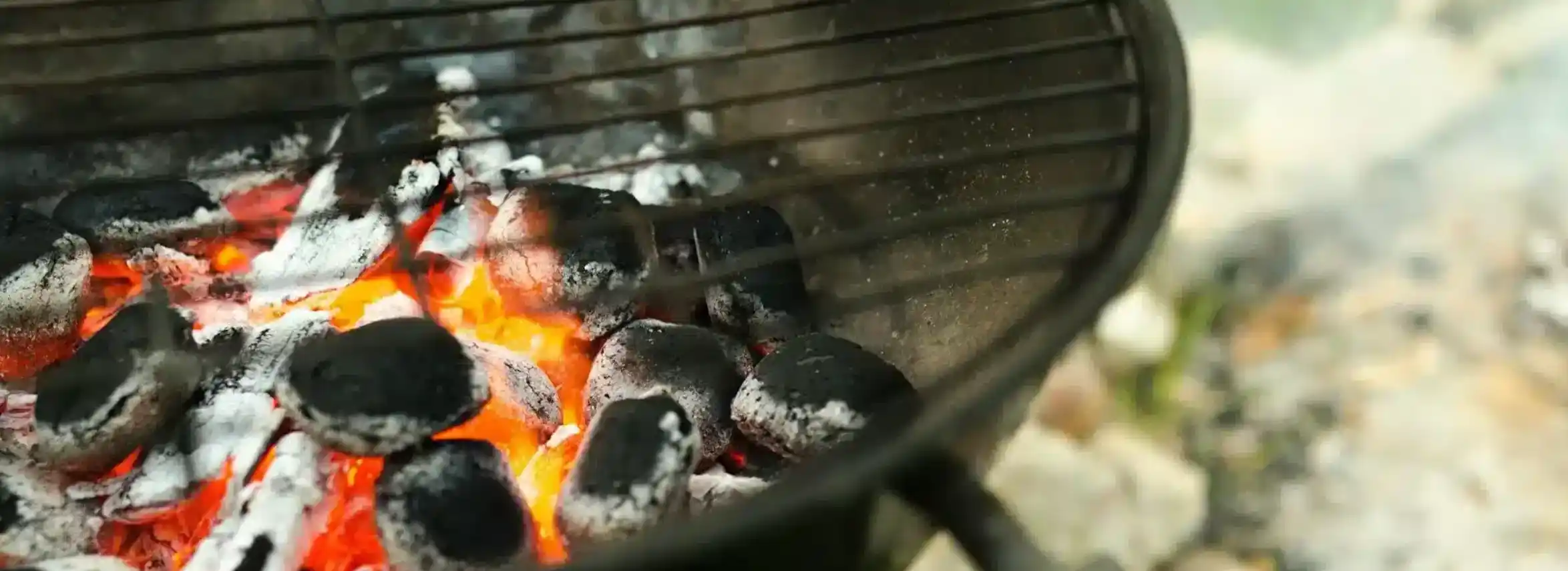 Grilling Tips from the Walden Team