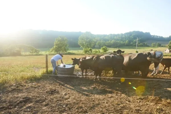 Young Farmers Who Are Rebuilding Local Agriculture