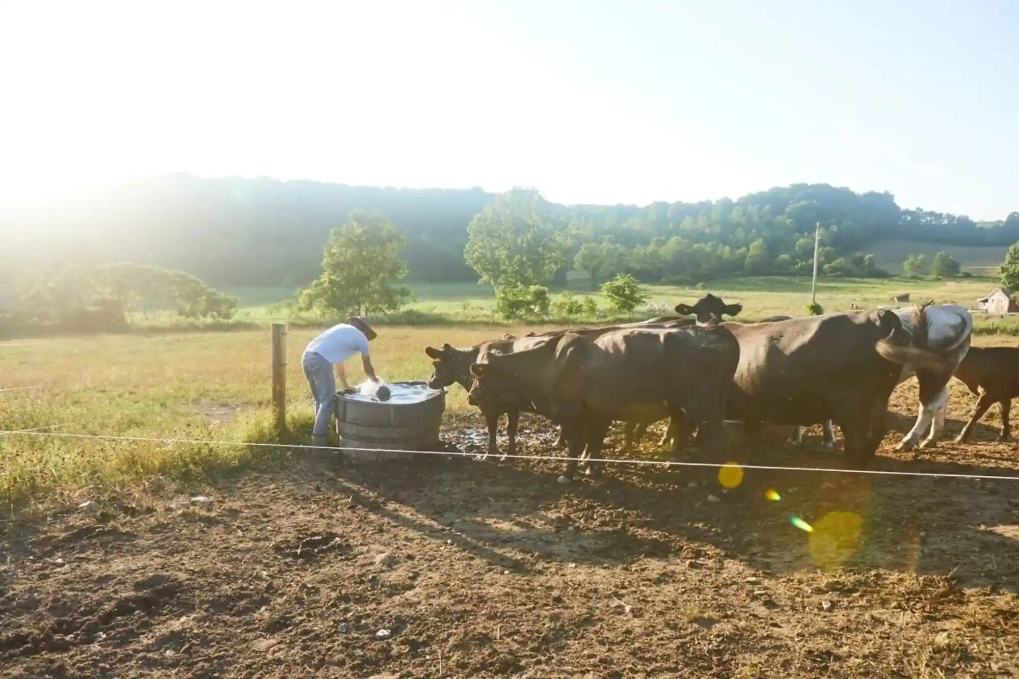 Young Farmers Who Are Rebuilding Local Agriculture