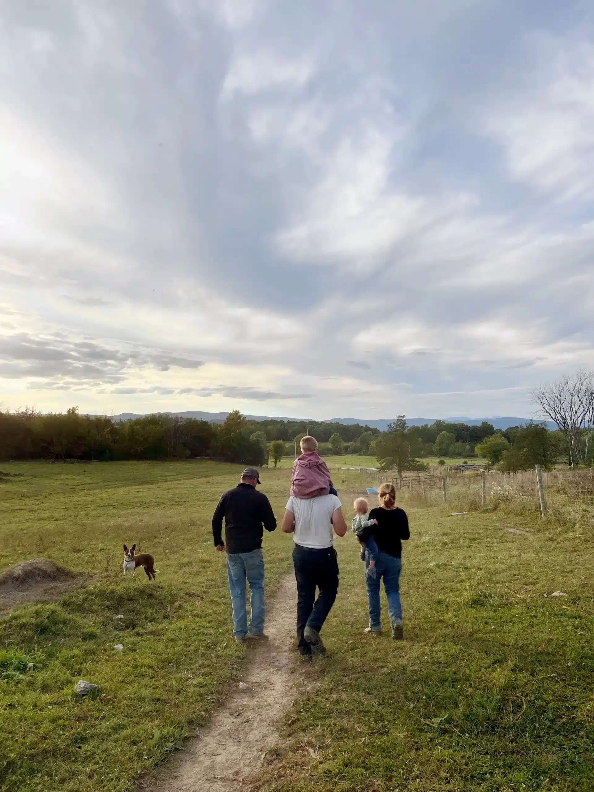 Farmers walking through open pasture, symbolizing Walden Local's commitment to supporting small, industrious farms practicing regenerative agriculture