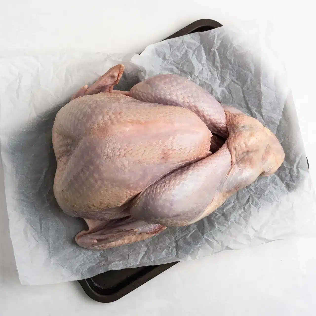 Medium Turkey