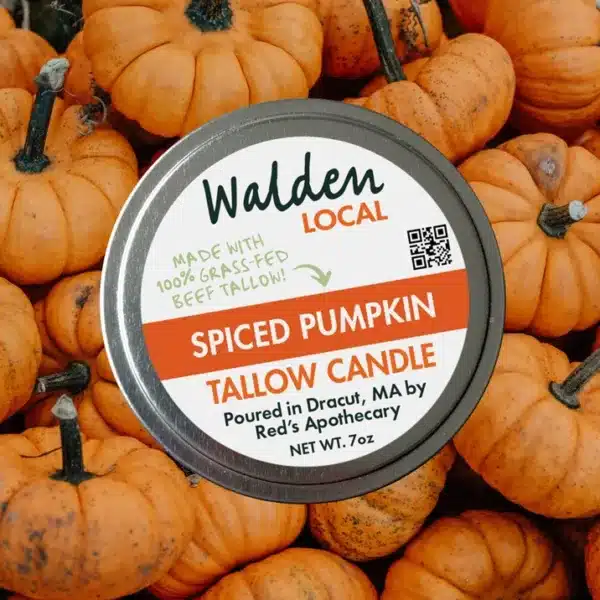 2581Spiced Pumpkin Candle