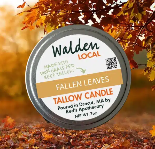 2630Fallen Leaves Scented Candle