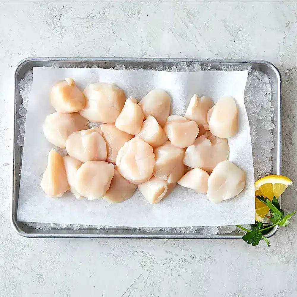 Cape Cod Sea Scallops