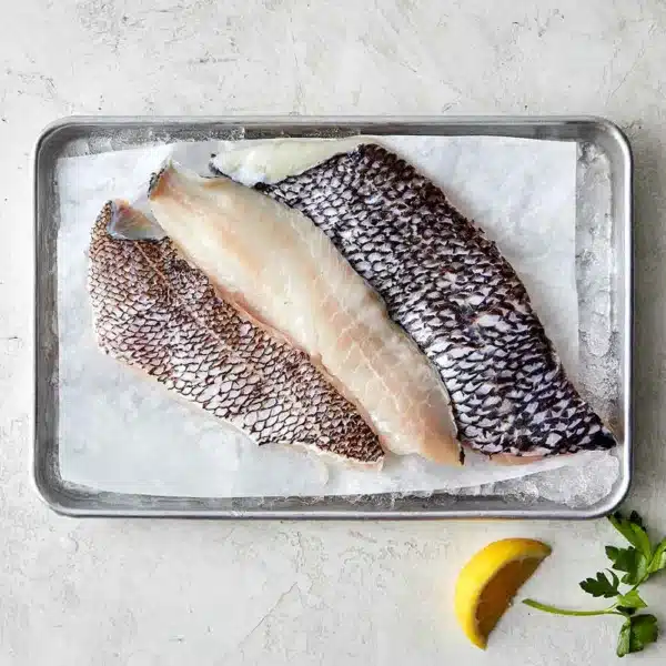 2074Black Sea Bass