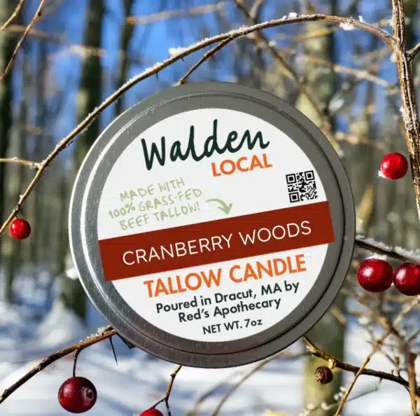 6631Cranberry Woods Tallow Candle